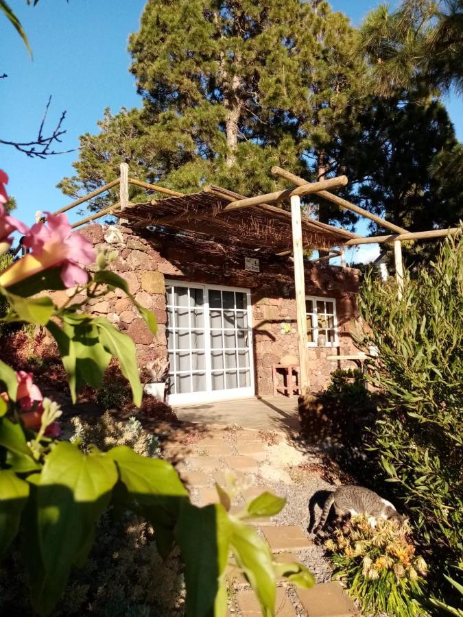Casa Los Pinos - Sunset & Wifi Puntagorda Eksteriør billede
